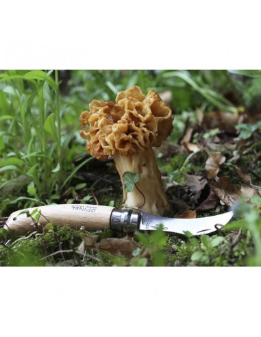 Chuchillo para setas con cepillo - Opinel-