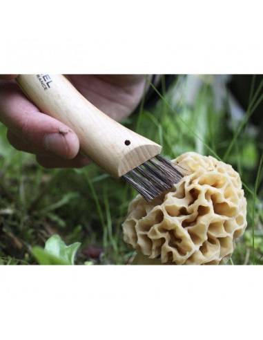Chuchillo para setas con cepillo - Opinel-
