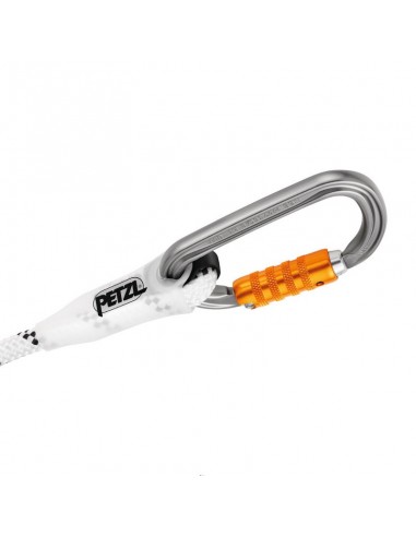 Grillon à 4m de Petzl