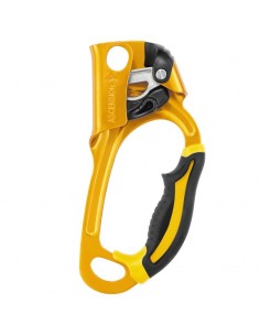 Pack économique Ascension + Rig de Petzl 2