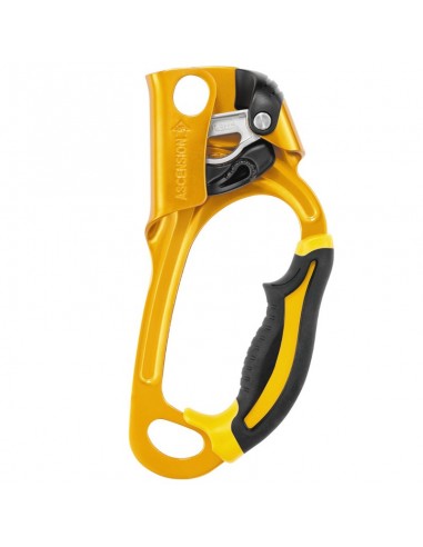 Pack économique Ascension + Rig de Petzl