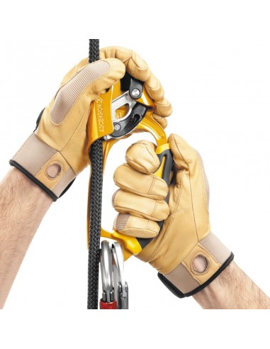 Pack économique Ascension + Rig de Petzl