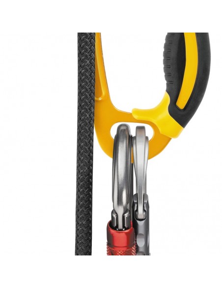 Pack économique Ascension + Rig de Petzl
