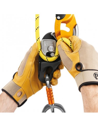Économies de paquets Rig avec Petzl asap et asap sorber