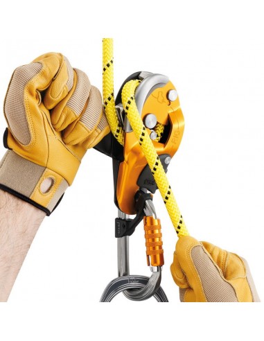 Économies de paquets Rig avec Petzl asap et asap sorber