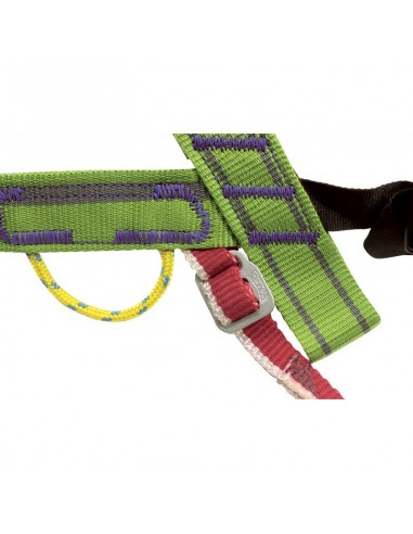 Recambio cinta pectoral Ergo Plus - Rodcle