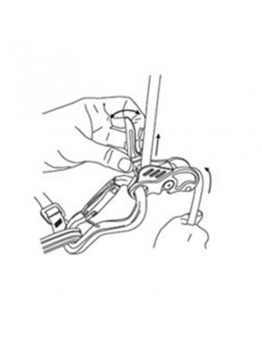 Assegurador Birdie - Beal