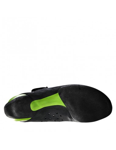 Mundaka - Pies de gato - Tenaya