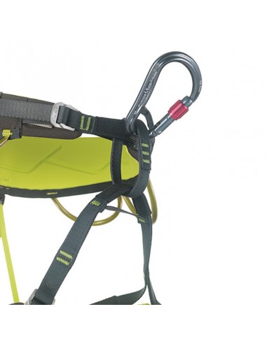 Atom Belay Lock (Gun metal) - Mosquetón HMS rosca - Camp