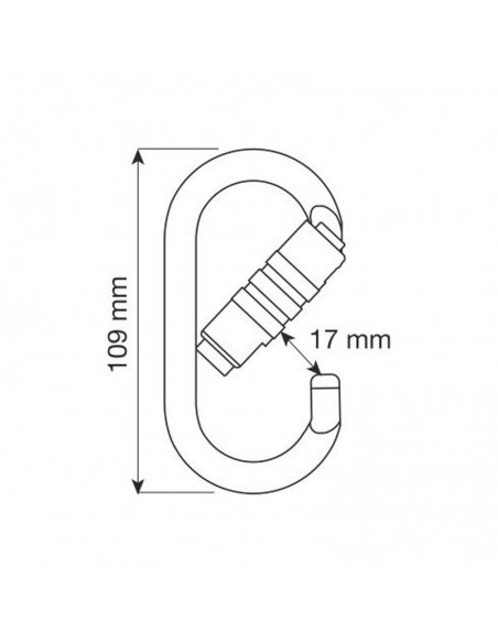 Oval Pro 2Lock - Mosquetón ovalado de acero - Camp