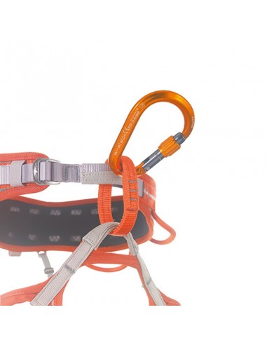 écluse centrale (orange) - mosquéeton hms fil - camp