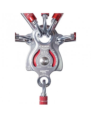 naiad - multifonction pollinique - camp