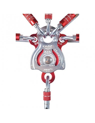 janus - double multifonction de pollen - camp