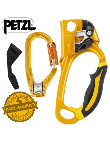 Pack Polea Rollclip A Triact-Lock +...