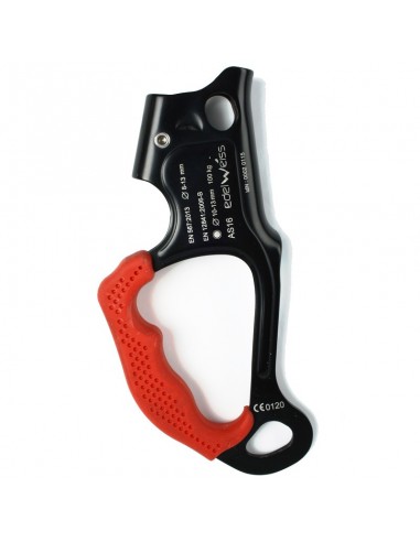 comme16 hadle ascension - ascension de poing - edelweiss