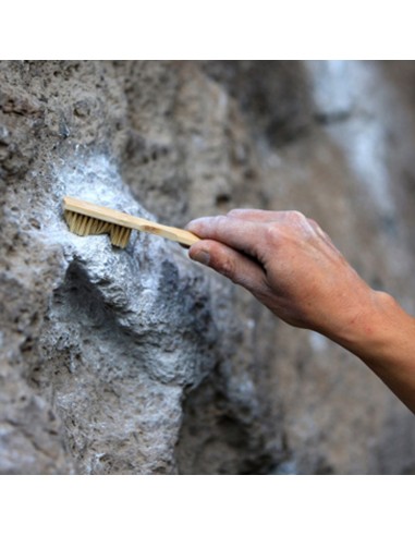 Bamboo Boar\'s Hair Brush - Cepillo de bambu para boulder - Metolius