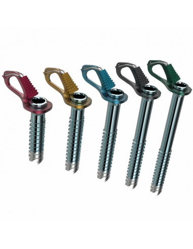 Pack 5 Aero Lite (10,13,16,19 y 22cm) - tornillos de hielo - Blue Ice