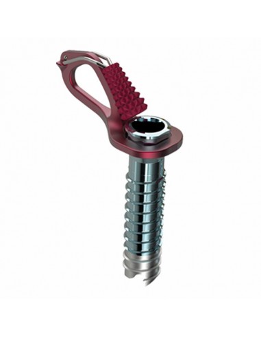 Pack 8 Aero Lite + funda octo - tornillos de hielo con funda - Blue Ice / Petzl