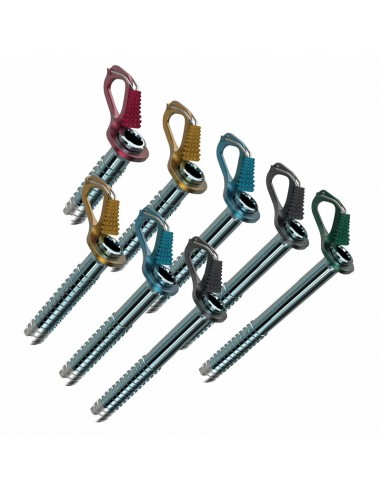 Pack 8 Aero Lite + funda octo - tornillos de hielo con funda - Blue Ice / Petzl