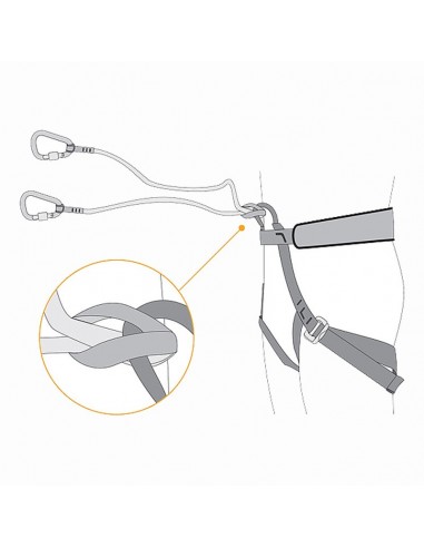 le bungee - le dragon bifide - le rock chantant