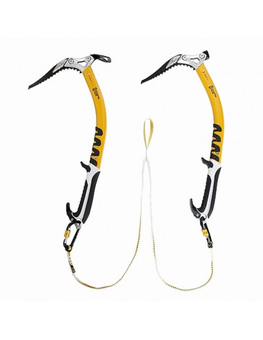 le bungee - le dragon bifide - le rock chantant