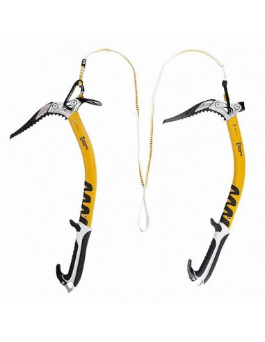 le bungee - le dragon bifide - le rock chantant