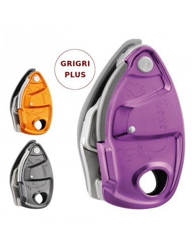 Pack Arnes Autana Women (Jade) + Grigri Plus - Edelrid/Petzl