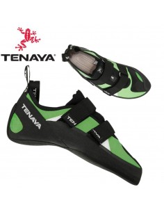 Tanta (Green) - Pies de...