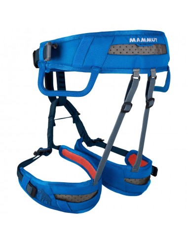 Ophir Kids (Dark Cyan) - Arnés infantil - Mammut