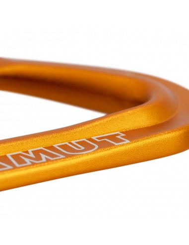 Fils de l'expéditeur 17cm - bracelet express pour montée et fermoir classique - Mammut