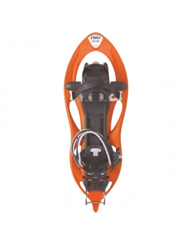 305 Élévation (Halloween) - chutes de neige - TSL