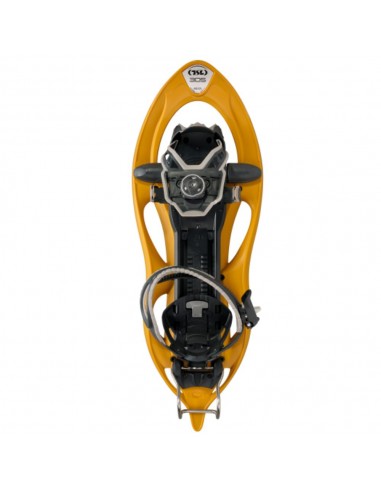 305 Initial (Honey) - chutes de neige avec BOA - TSL