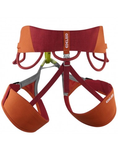 Jay IV (Hokkaido) - Arnés polivalente escalada y alpinismo - Edelrid