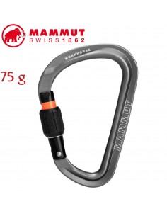 Workhorse HMS Screwgate (Grey-Yellow ) - Mosqueton HMS rosca - Mammut