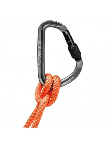 Workhorse HMS Screwgate (Grey-Yellow ) - Mosqueton HMS rosca - Mammut