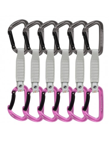 Pack 6 Workhorse Keylock 12 Cm (Argent - Rose) - sangles de sport express - Mammut