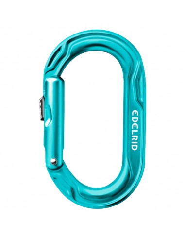 Mosquetón Kiwi Slider (icemint) - Mosquetón ovalado pequeño y ligero - Edelrid