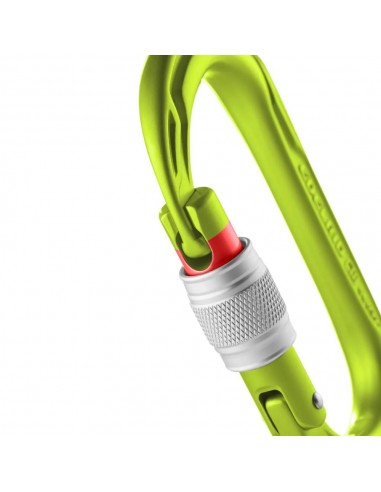 Oval Power 2500 Screw (oasis) - Mosquetón de escalada con bloqueo de rosca - Edelrid