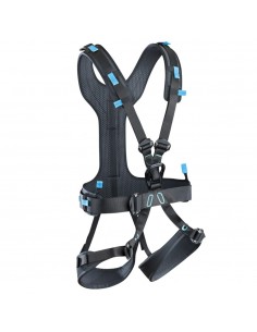 Radialis Pro Adjust... 2