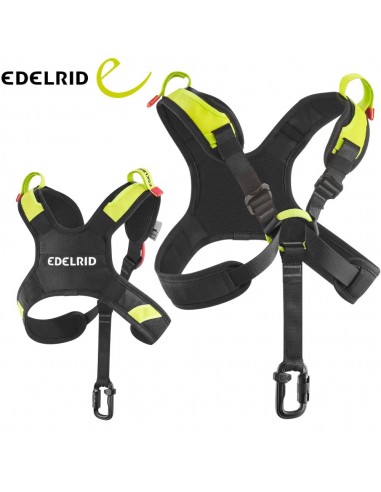 Poitrine vectorielle X - Ceinture...