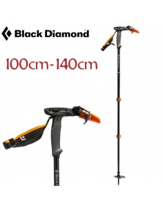 Carbon whipped pole -...