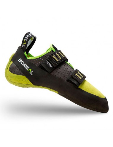 Alpha - Tarte de chat pour l'initiation - Boréal