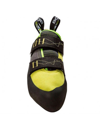 Alpha - Tarte de chat pour l'initiation - Boréal