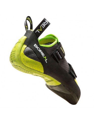 Alpha - Tarte de chat pour l'initiation - Boréal