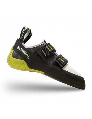 Alpha Femmes - Tarte de chat pour femmes - Boréal