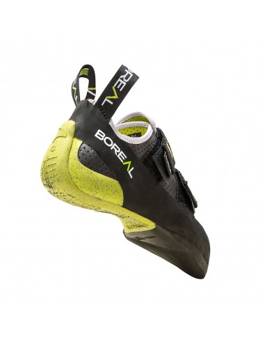 Alpha Femmes - Tarte de chat pour femmes - Boréal