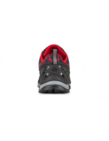 Alligator X - Zapatillas pour la course à pied - Boreal