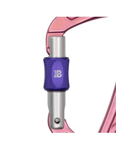 Soyez rapide ( Matt Rose) - Beal 2