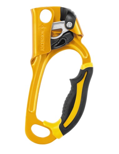 Pack économique Ascension + Rig de Petzl
