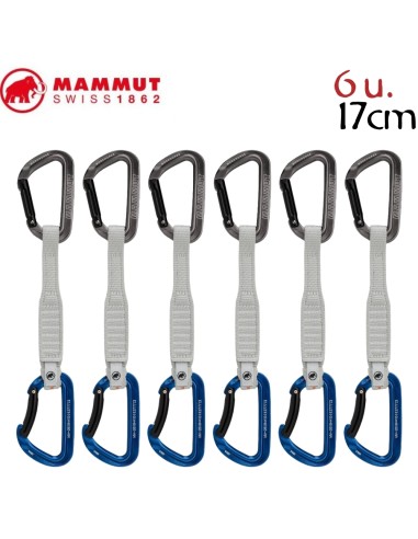 Pack 6 Workhorse Keylock 17 Cm (Grey / Alpine Calamin) - sangles de sport express - Mammut